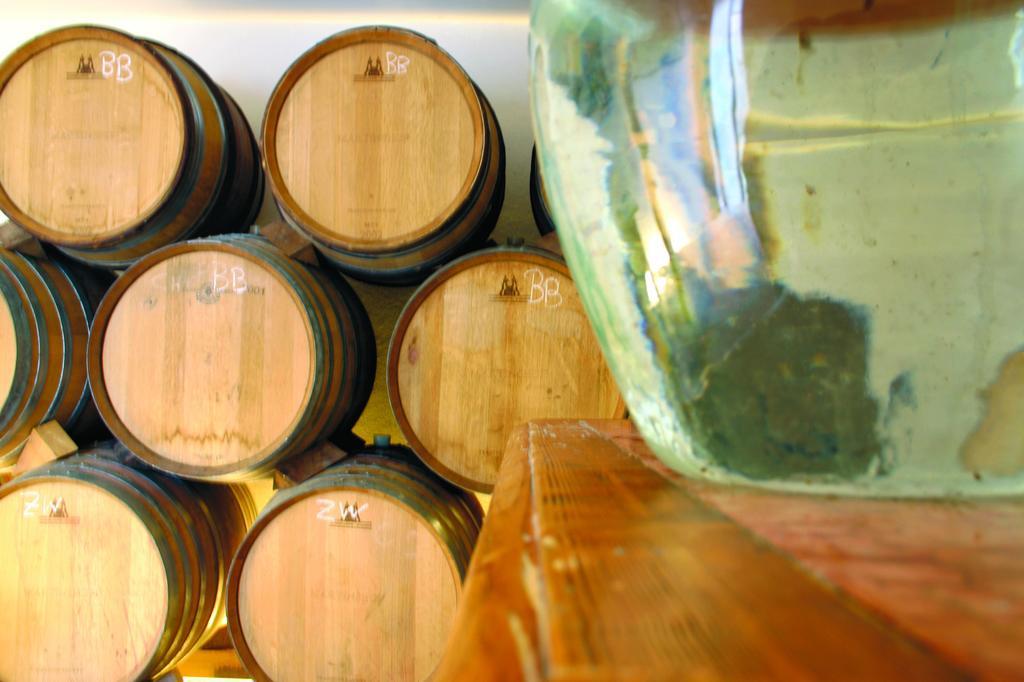 Weingut Martinshof Hotel Sankt Ulrich  Екстериор снимка