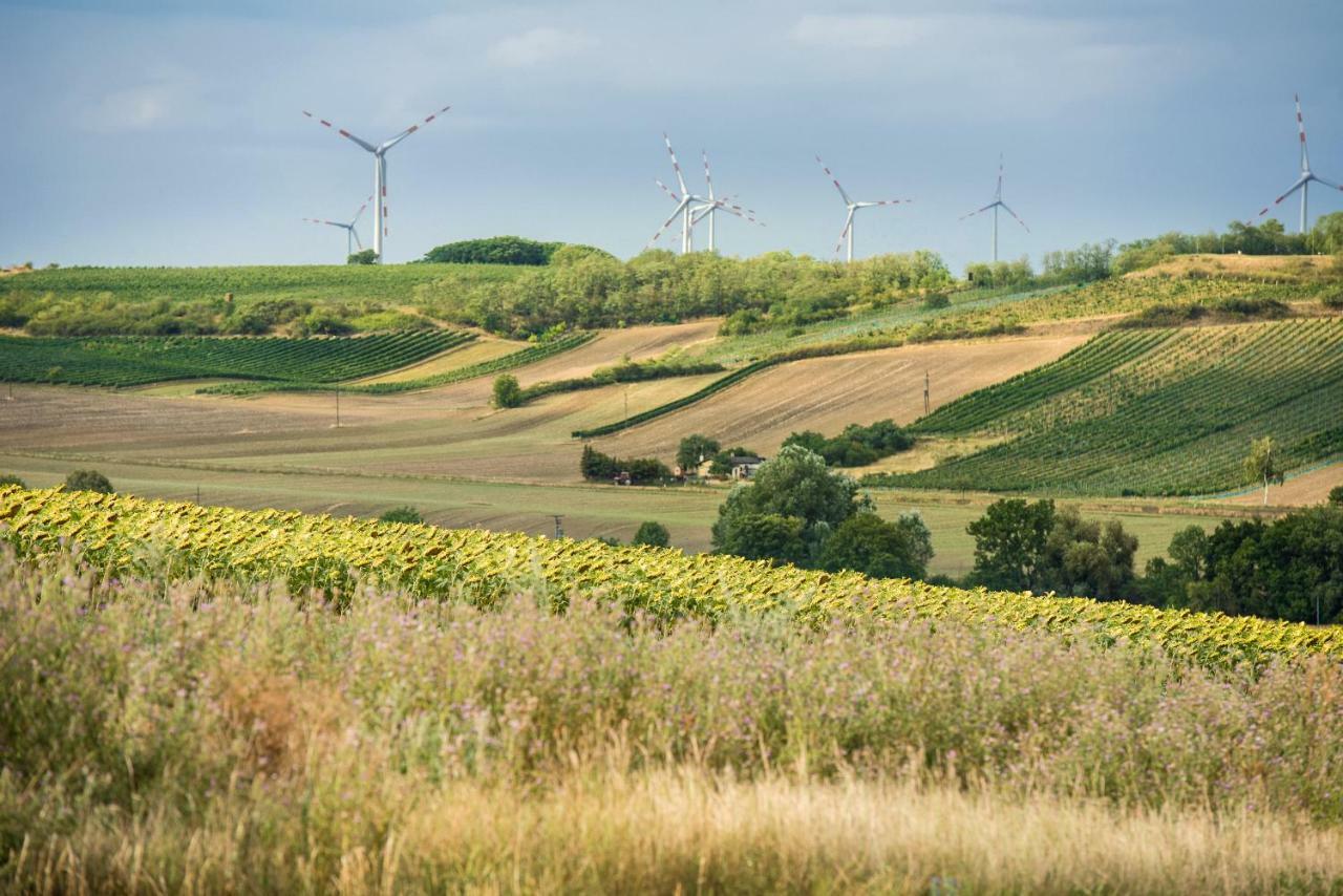 Weingut Martinshof Hotel Sankt Ulrich  Екстериор снимка